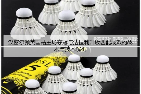 han-mi-er-dun-ying-guo-zhan-zhu-chang-duo-guan-yu-fa-la-li-sheng-ji-pi-pei-cheng-xiao-de-zhan-shu-yu-ji-shu-jie-xi-3-106.jpg