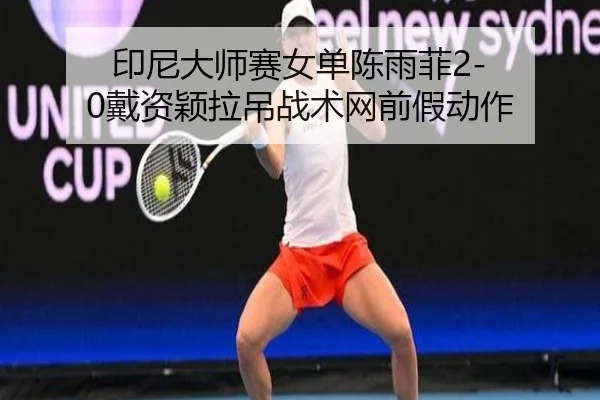 印尼大师赛女单陈雨菲2-0戴资颖拉吊战术网前假动作