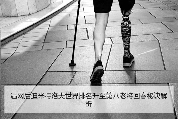 温网后迪米特洛夫世界排名升至第八老将回春秘诀解析